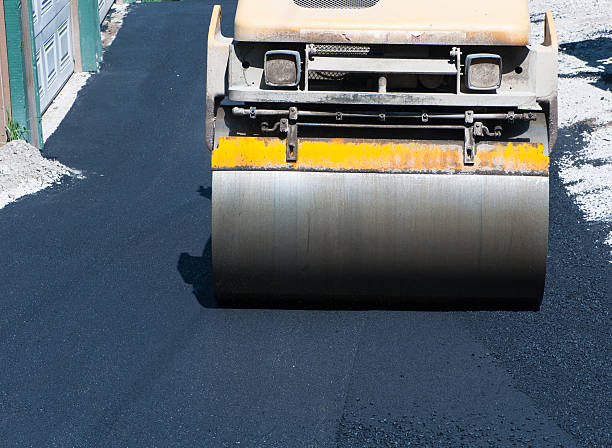 Best Driveway Repair and Patching  in Pines Lake, NJ